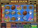 duck.webp