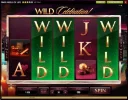 betatcasino.webp