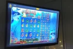 -kjvXuUQuHANgp11.mp4_snapshot_00.03_[2021.05.18_20.16.13].webp