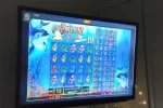 -kjvXuUQuHANgp11.mp4_snapshot_00.08_[2021.05.18_20.16.23].webp