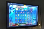 -kjvXuUQuHANgp11.mp4_snapshot_00.12_[2021.05.18_20.16.32].webp