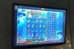 -kjvXuUQuHANgp11.mp4_snapshot_00.17_[2021.05.18_20.16.43].webp