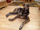 20170902_100529.webp