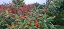 20211004_101147.webp