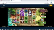 rabbit.webp