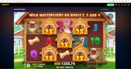 the dog house.webp