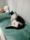Too much is never enough.jpg.webp