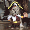 3a.gif