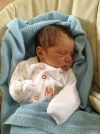 photo (2).webp
