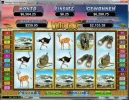 white-rhino-slot-scatter-big-win-1.webp