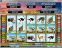 white-rhino-slot-scatterbig-win-2.webp