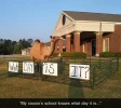 camel.webp