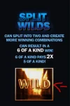 splitwild_symbol.webp