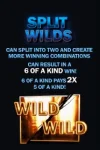 splitwild_symbol2.webp