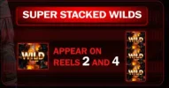 stacked wilds.webp