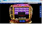 pat wild royal.webp