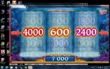 dolphin quest.webp