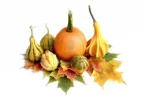 tgiving.webp
