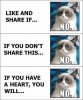share cat.jpg