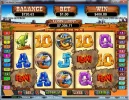 Coyote Cash-CWC.webp