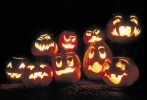 jacks.webp