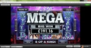 playboy 10 bet.webp