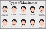 Moustache.webp