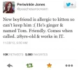 allergic to kitten.webp