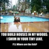 bear in pool.webp