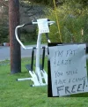 fat and lazy.webp