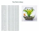 fish.webp