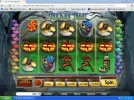 all wilds.webp