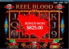 bovada reel spin.webp