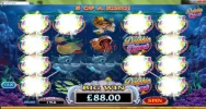 32 red dolphin.webp