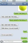 dog text3.webp