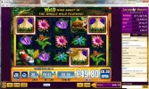 Jungle Wild.webp