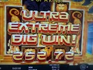5543ddd.webp