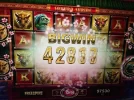 7653433.webp