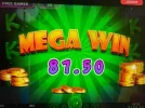 7767676.webp