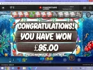 Screenshot (441).webp