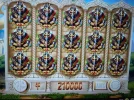 6556666.webp