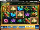 Jungle Wild 44.webp