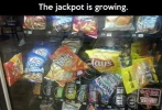jackpot.webp
