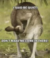 kangaroo quiet.webp