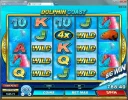 Dolphin Coast AMAZING!!.webp Dolphin Coast AMAZING!!.webp