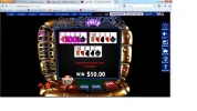 wild 2   x2222.webp