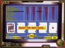 rockycatt_20140101152200_95406200.webp