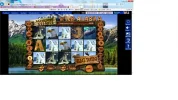 polar bears.webp