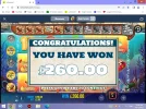 Screenshot (701).webp