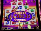 15.webp